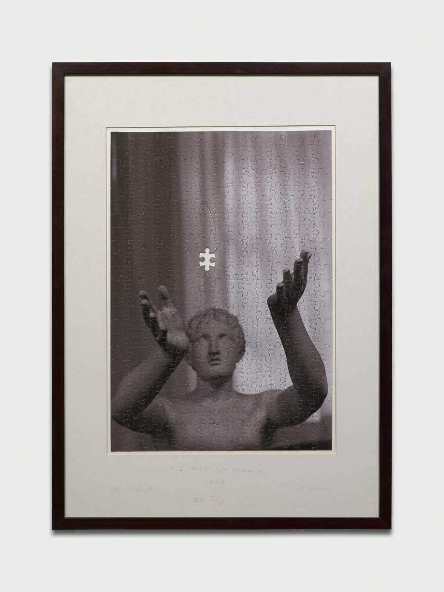 MAMCO Genève - Collection - Catalogue - Muriel Olesen, Gérald