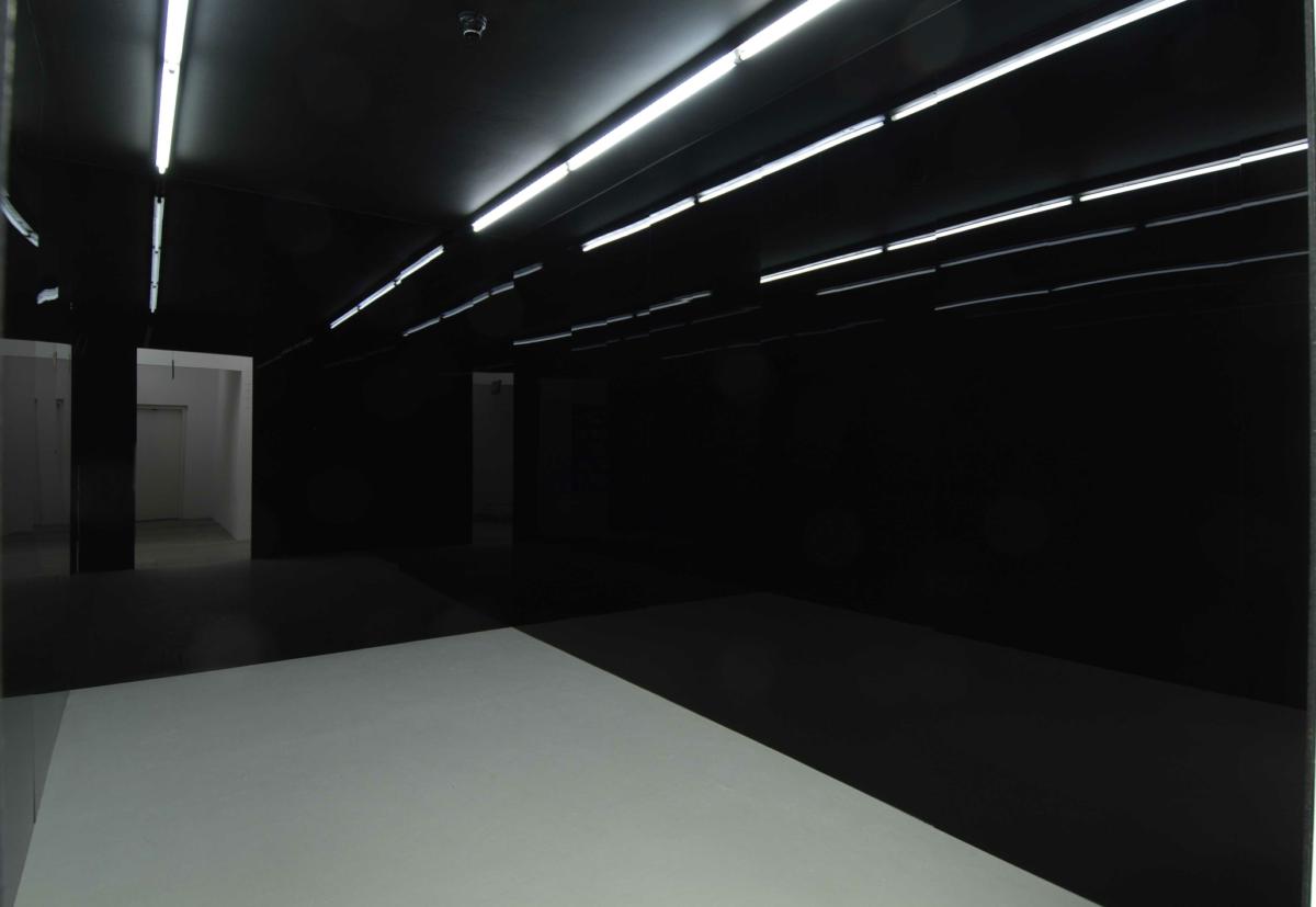 MAMCO Genève - Collection - Catalogue - Bernar Venet, Espace